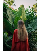 Cuidado Capilar con Rosa de Bulgaria | Farmalínea