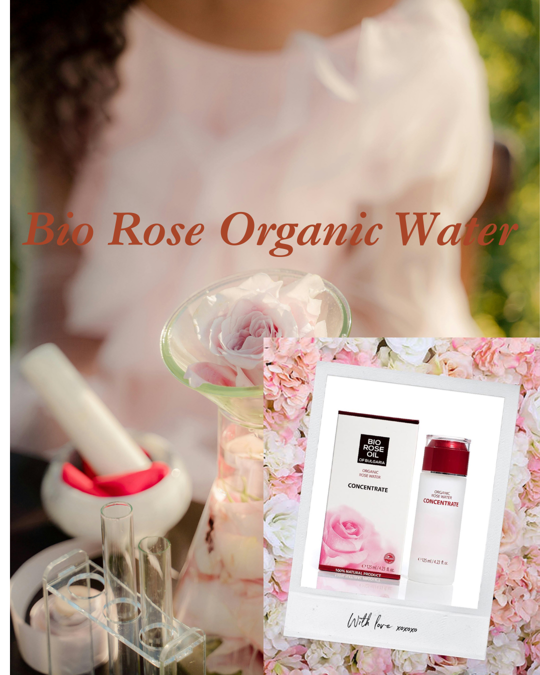  Guía Definitiva del Aceite de Rosa Damascena El "Oro Líquido" de Bulgaria