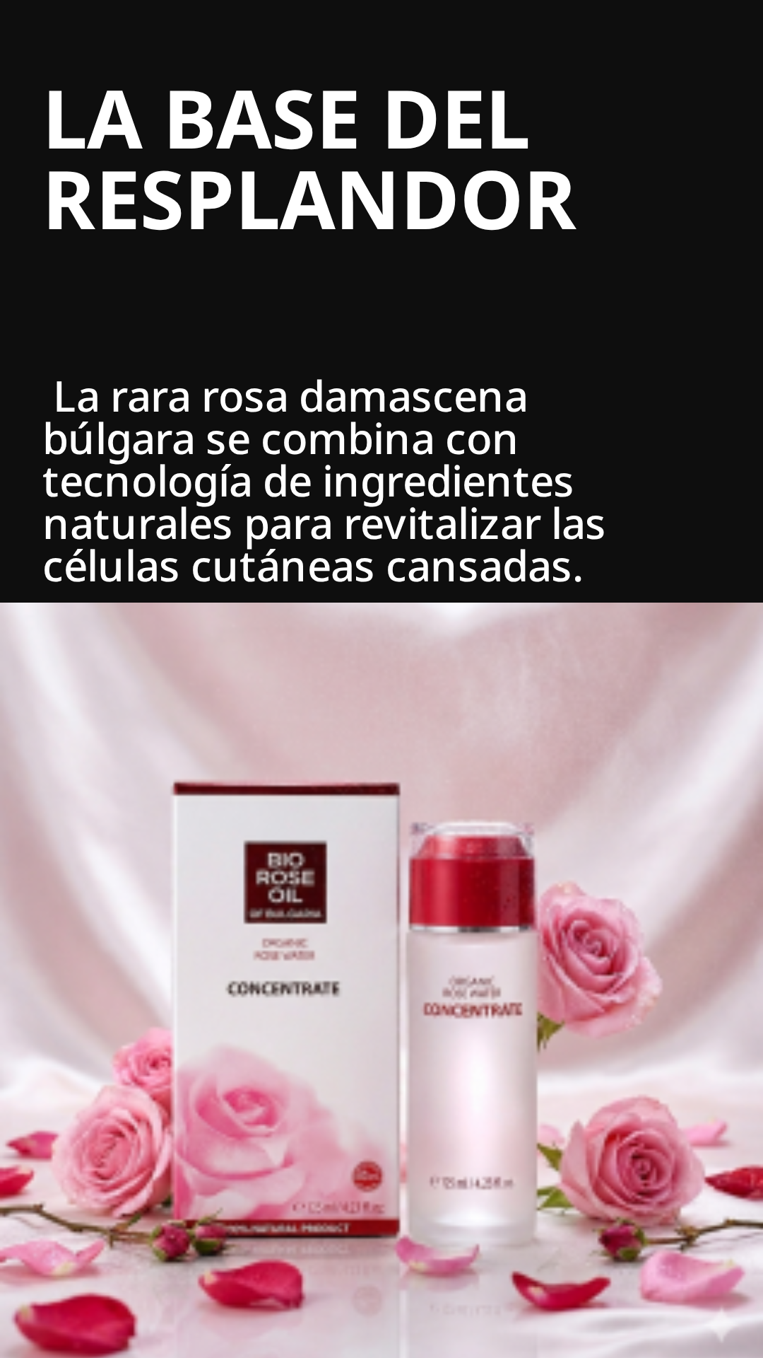 El secreto de los faraones: por qué el agua de rosas de Bulgaria sigue siendo el ingrediente más poderoso 5.000 años después